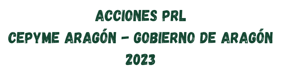 ACCIONES EN MATERIA DE PREVENCIÓN DE RIESGOS LABORALES 2023 CEPYME ARAGÓN – GOBIERNO DE ARAGÓN
