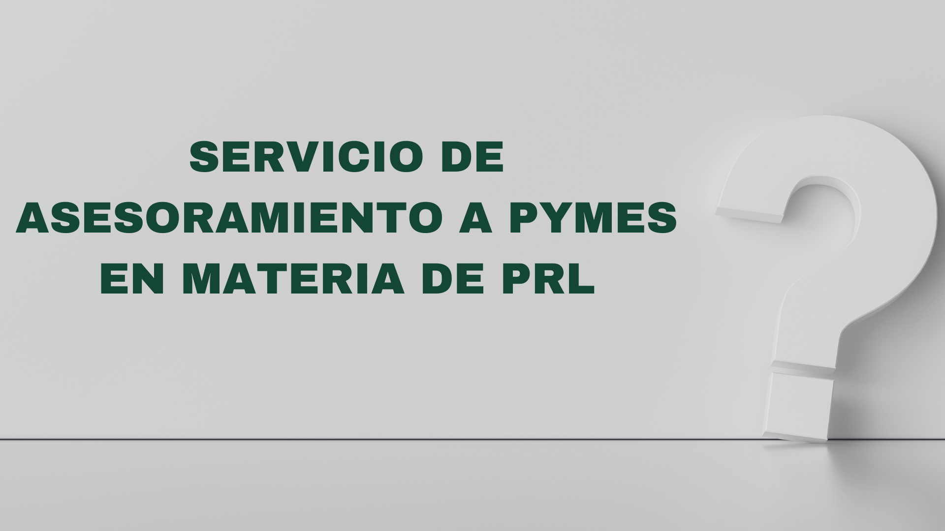 SERVICIO DE ASESORAMIENTO A PYMES EN MATERIA DE PREVENCIÓN DE RIESGOS LABORALES